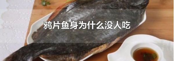 鸦片鱼身为什么没人吃