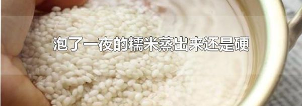 泡了一夜的糯米蒸出来还是硬