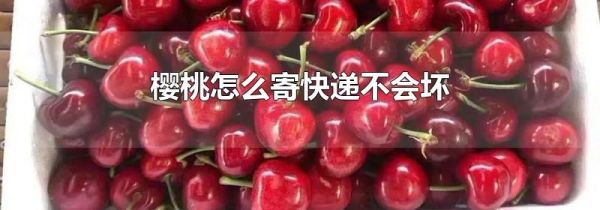 樱桃怎么寄快递不会坏