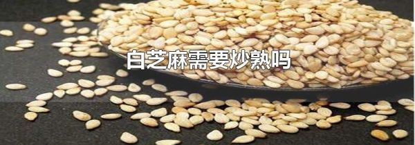 白芝麻需要炒熟吗