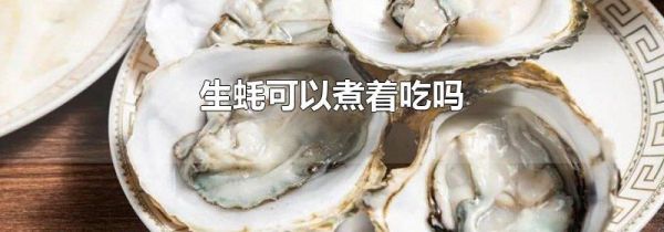 生蚝可以煮着吃吗