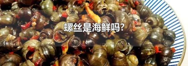 螺丝是海鲜吗?