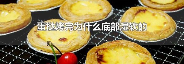 蛋挞烤完为什么底部湿软的