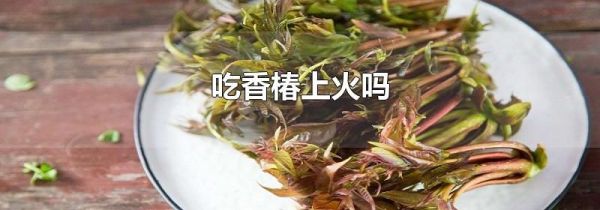 吃香椿上火吗