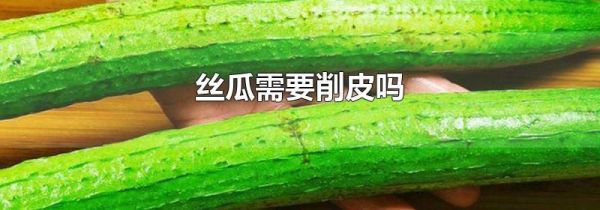丝瓜需要削皮吗