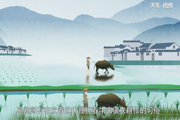 立春是什么意思