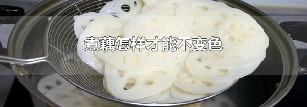 煮藕怎样才能不变色