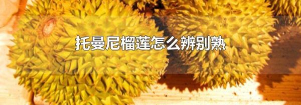 托曼尼榴莲怎么辨别熟