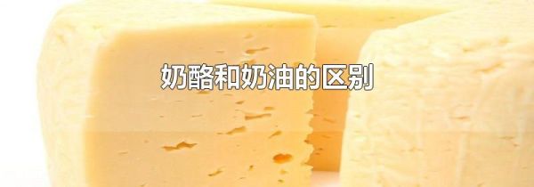 奶酪和奶油的区别