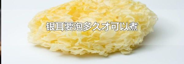 银耳要泡多久才可以煮