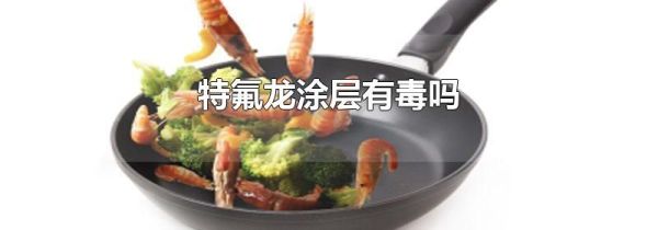 特氟龙涂层有毒吗