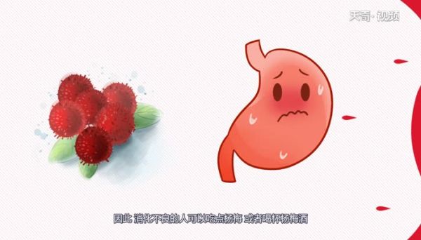 杨梅是酸的还是甜的 杨梅的味道是怎样的