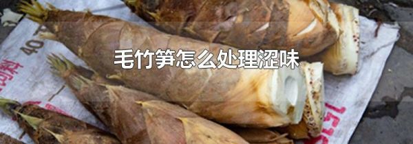 毛竹笋怎么处理涩味