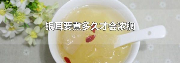 银耳要煮多久才会浓稠