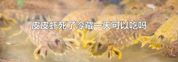 皮皮虾死了冷藏一天可以吃吗
