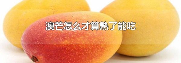 澳芒怎么才算熟了能吃