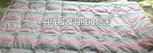 羽绒服改羽绒被危害