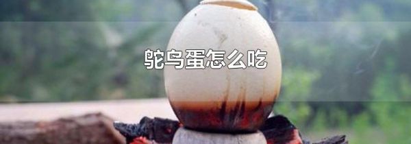 鸵鸟蛋怎么吃