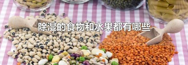 除湿的食物和水果都有哪些