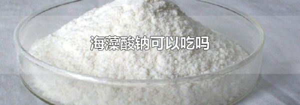 海藻酸钠可以吃吗