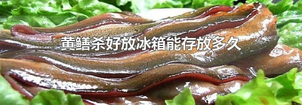 黄鳝杀好放冰箱能存放多久