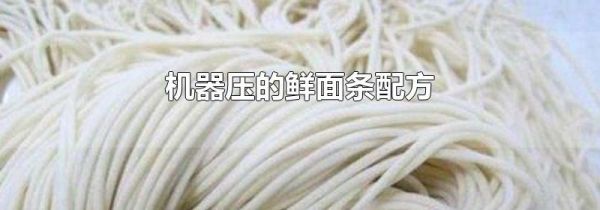 机器压的鲜面条配方