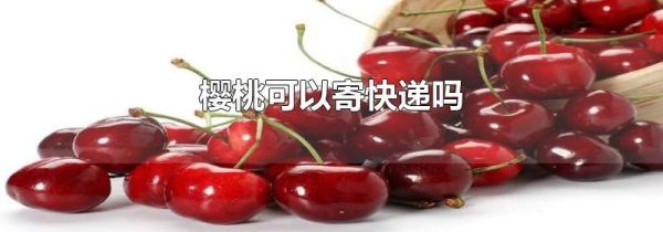 樱桃可以寄快递吗