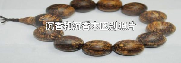 沉香和沉香木区别照片