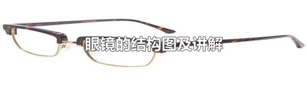 眼镜的结构图及讲解