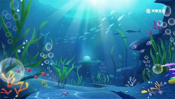 海底两万里好词 海底两万里好词摘抄赏析