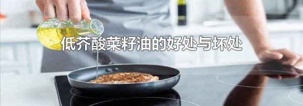 低芥酸菜籽油的好处与坏处