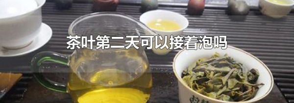 茶叶第二天可以接着泡吗