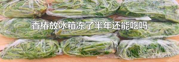 香椿放冰箱冻了半年还能吃吗