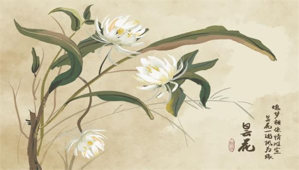 植物怎样传播种子   植物传播种子的方法是什么