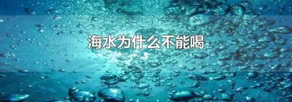 海水为什么不能喝