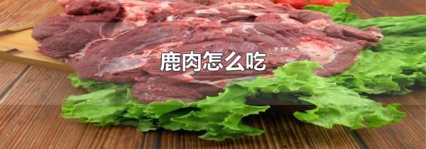 鹿肉怎么吃