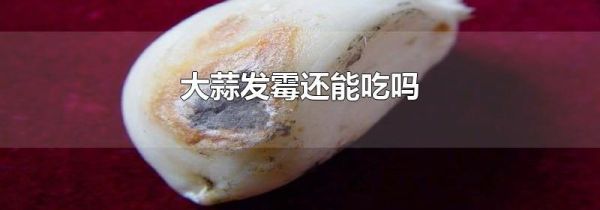 大蒜发霉还能吃吗