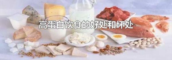 高蛋白饮食的好处和坏处