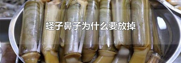 蛏子鼻子为什么要放掉