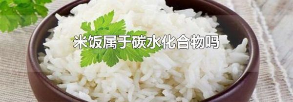 米饭属于碳水化合物吗