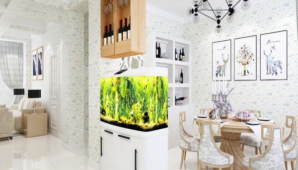 壁挂式鱼缸详细介绍 壁挂式鱼缸详细情况是什么