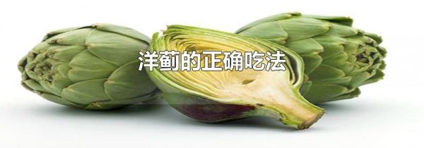 洋蓟的正确吃法