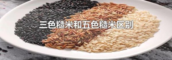三色糙米和五色糙米区别