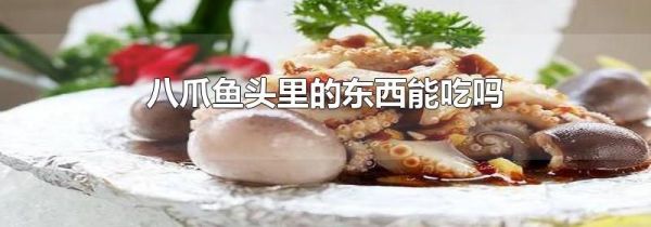 八爪鱼头里的东西能吃吗