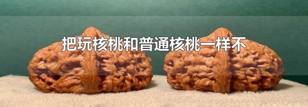 把玩核桃和普通核桃一样不