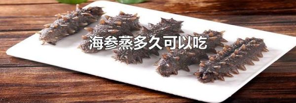 海参蒸多久可以吃
