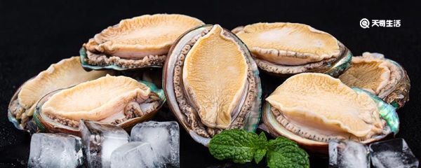 鲍鱼杀了可以放多久 鲍鱼杀了能放多久