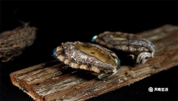 鲍鱼杀了可以放多久 鲍鱼杀了能放多久