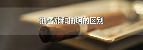 抽雪茄和抽烟的区别