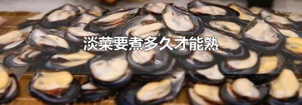 淡菜要煮多久才能熟
